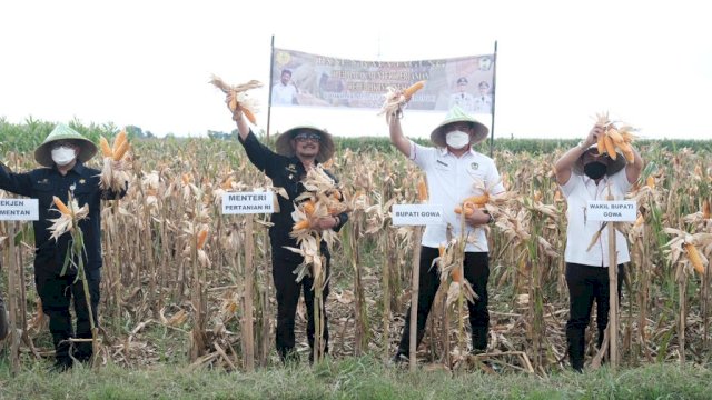 istimewa