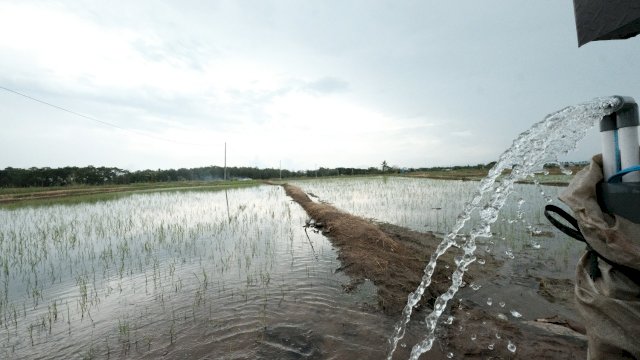 Program electrifying agriculture dari PLN bantu peningkatan produksi pertanian namun hemat biaya operasional (dok. PLN)