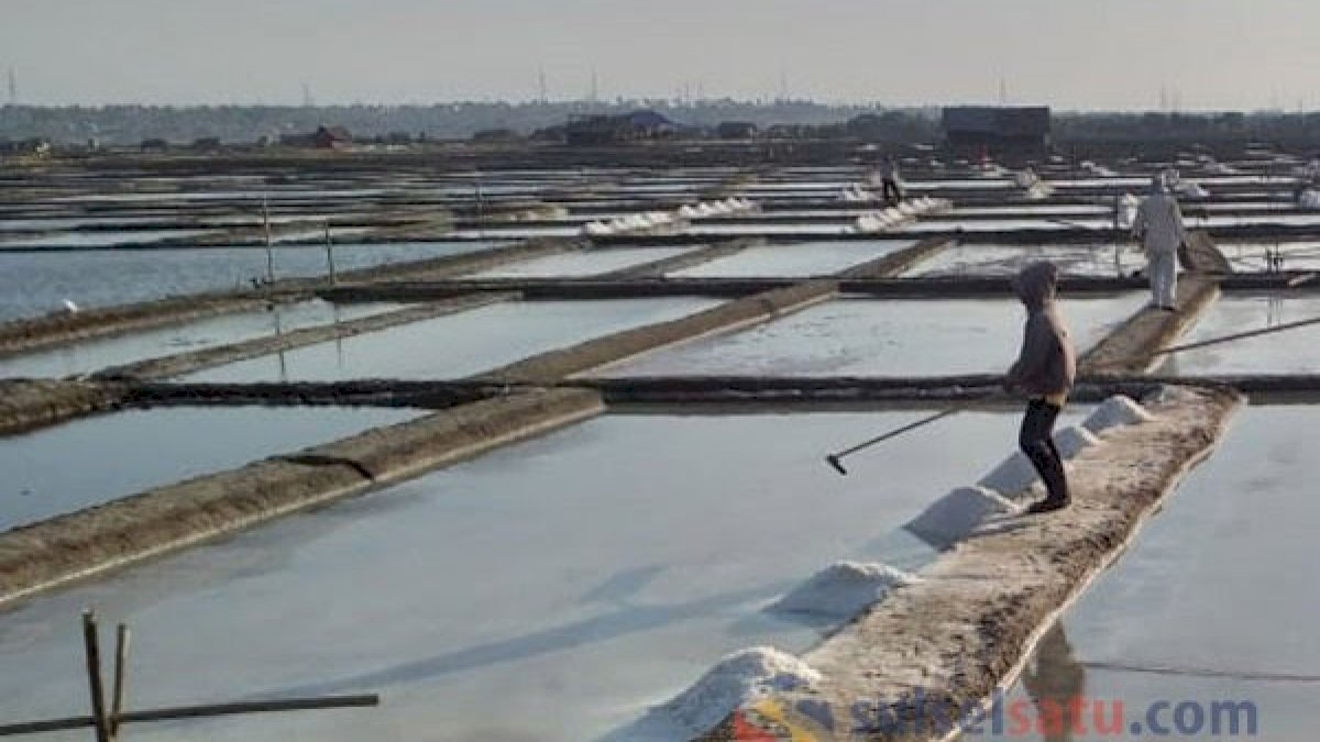 Dua Tahun Terakhir Produksi Garam di Sulsel Anjlok