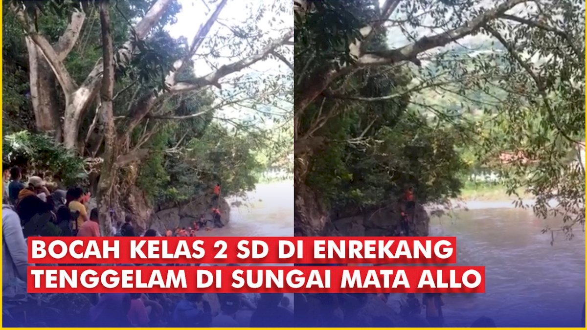 VIDEO: Bocah Kelas 2 SD di Enrekang Tenggelam di Sungai Mata Allo, Tim SAR Terus Melakukan Pencarian
