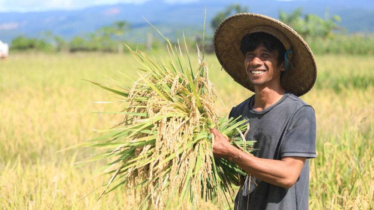 Komitmen Pembangunan Berkelanjutan PT Vale Sejahterahkan Petani Lewat Pertanian SRI Organik di Tanah Nikel
