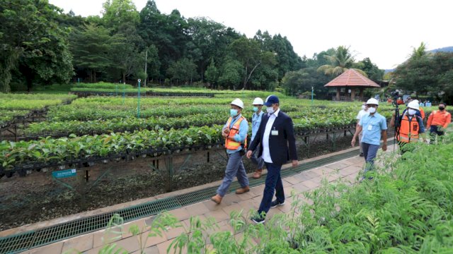 Area pembibitan pohon PT Vale untuk revitalisasi lahan pasca tambang (dok. PT Vale)