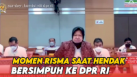 VIDEO: Momen Risma Hendak Bersimpuh ke DPR RI untuk Sampaikan Permohonan Maaf