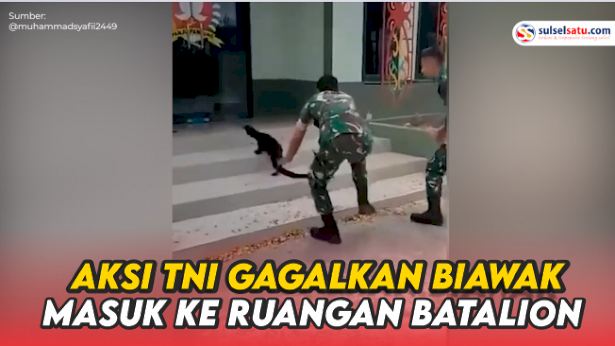 VIDEO: Aksi TNI Gagalkan Seekor Biawak Masuk Ruangan Batalion