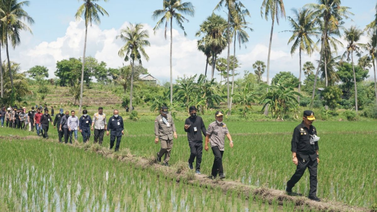 Berkunjung ke Sulsel, Mentan RI Tinjau Lahan Pertanian di Jeneponto