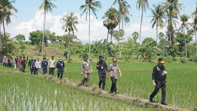 Mentan RI, Syahrul Yasin Limpo berkunjung ke Jeneponto (Dedi)