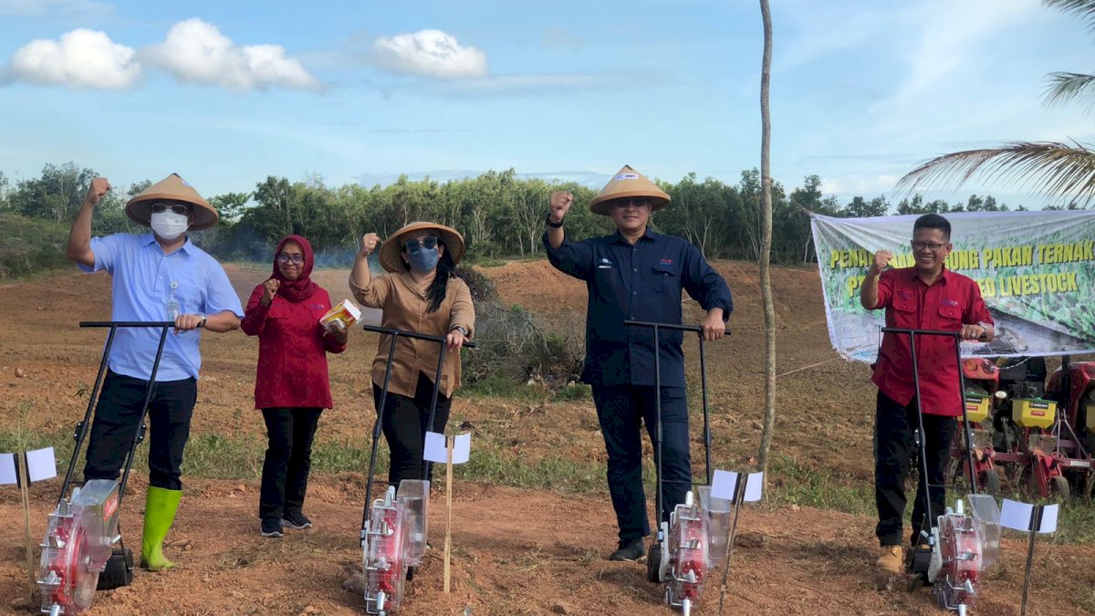 Dirut RNI dan Asdep Industri Pangan Kementrian BUMN Kunjungi Peternakan PT BULS Sidrap