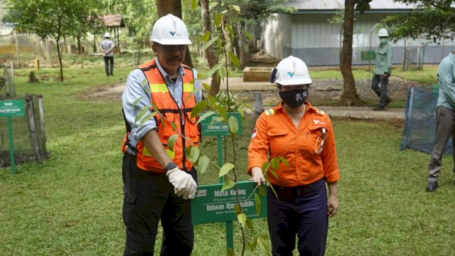 Dirjen Minerba Kementerian ESDM, Ridwan Djamaluddin dan CEO PT Vale, Febriany Eddy saat berkunjung ke area pascatambang PT Vale (dok. PT Vale)