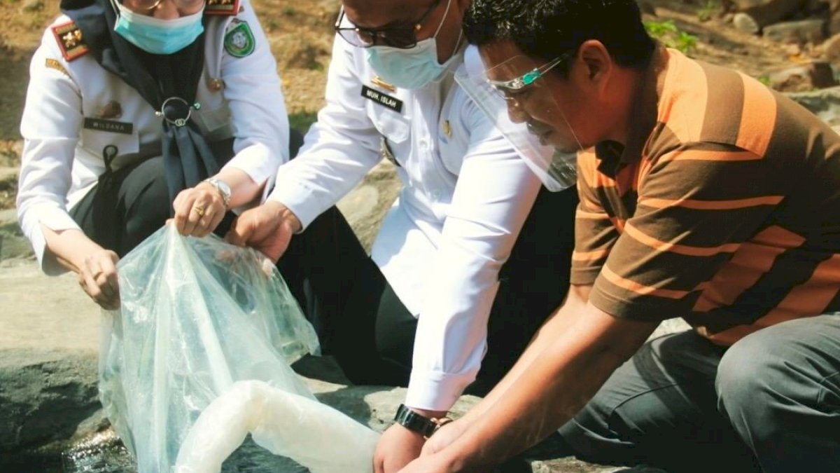 Wawali Parepare Apresiasi DPRD dan DPKP Bantu Pembudidaya Ikan Lele