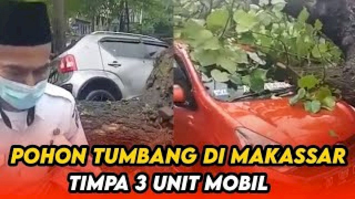 VIDEO: Pohon Tumbang di Makassar Timpa 3 Mobil