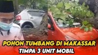 VIDEO: Pohon Tumbang di Makassar Timpa 3 Mobil