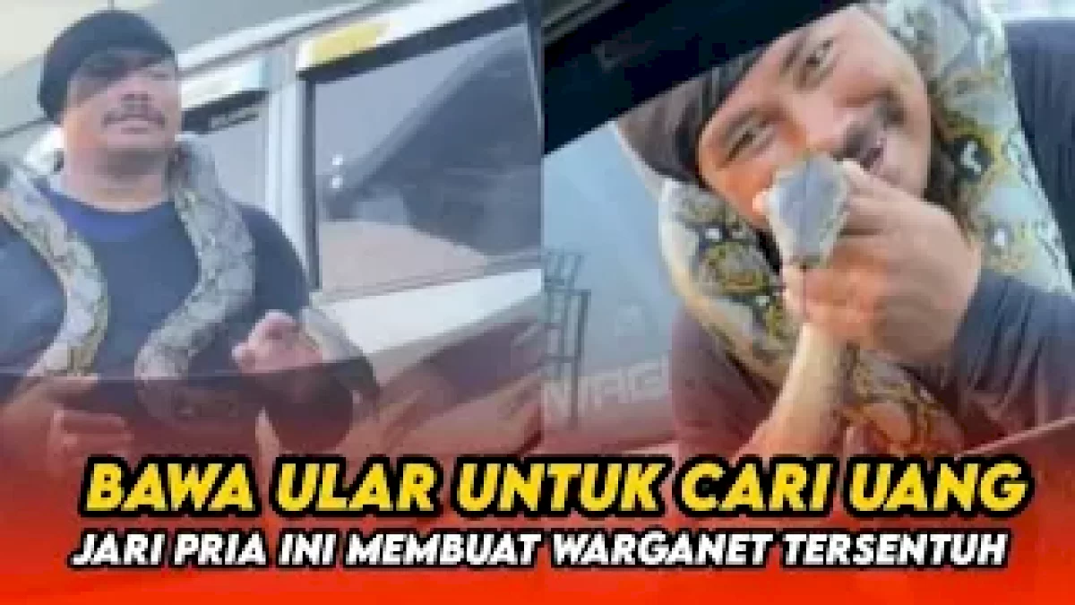 VIDEO: Bawa Ular untuk Cari Uang di Jalan, Jari Pria Ini Membuat Warganet Tersentuh