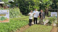 Mentan SYL Gaungkan Pekarangan Emas Bersama Pegadaian di Bone