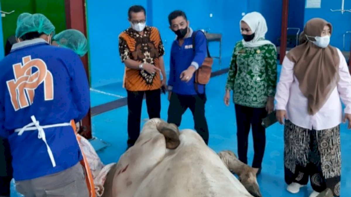 Lebih Berkualitas, Alasan Kenapa Harus Pilih Daging Sapi Berdikari
