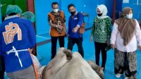 Lebih Berkualitas, Alasan Kenapa Harus Pilih Daging Sapi Berdikari
