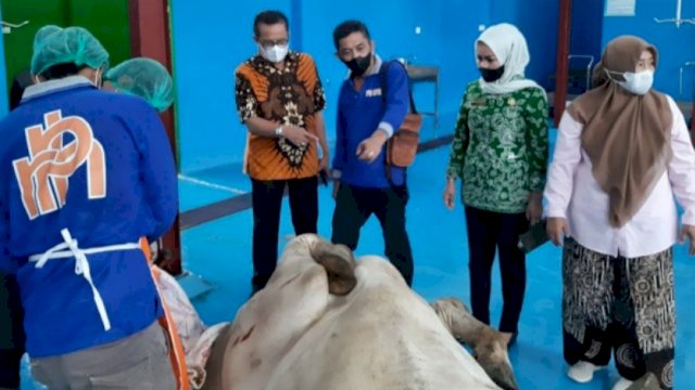 Penjabat Direksi PD RPH Kota Makassar, Syafrullah (ketiga kanan), pada pemotongan perdana Sapi Brahman Cross, di RPH Antang/Manggala, Kota Makassar, Jumat, 18 Februari 2022. (Ist) 