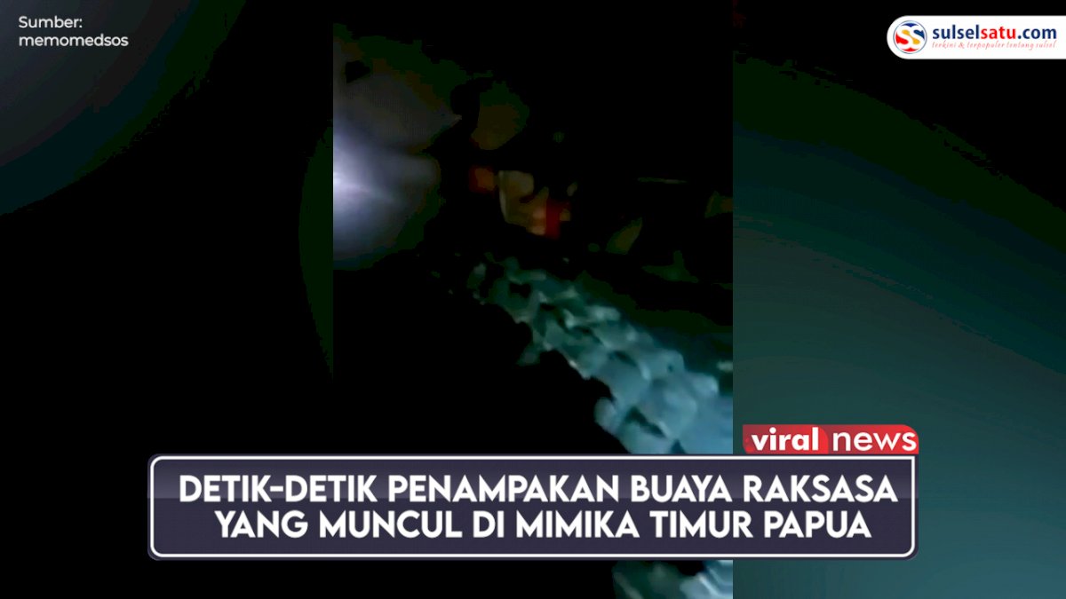 VIDEO: Penampakan Buaya Raksasa yang Muncul di Mimika Timur Papua, Berhasil Ditangkap Warga