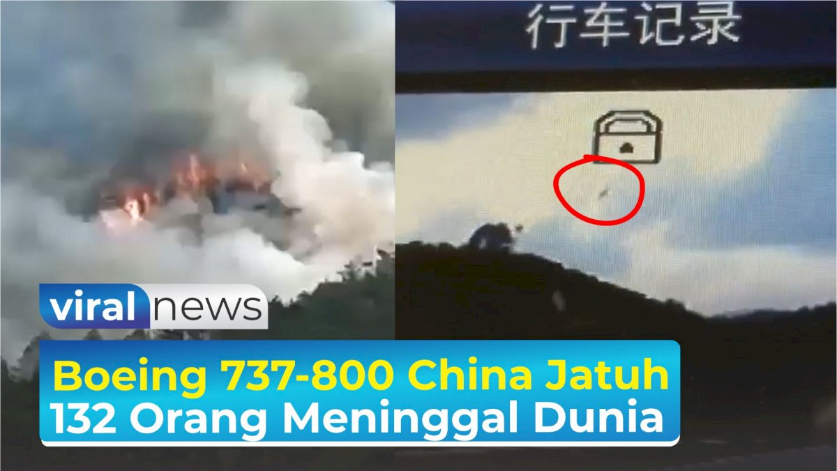 VIDEO: Boeing 737-800 China Jatuh, Sebanyak 132 Orang Meninggal Dunia