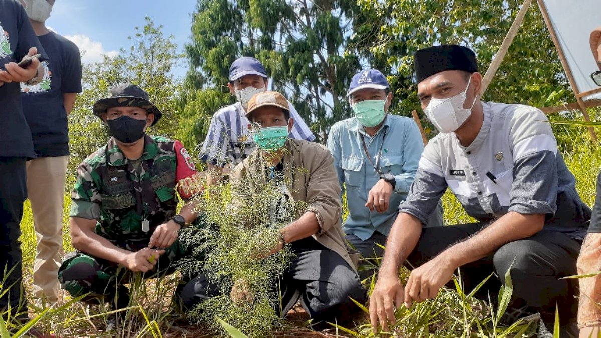 PT Vale Ikut dalam Aksi Sehat dan Hijau Bersama Forum Pemuda Puncak Indah Malili