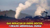 VIDEO: Gas Beracun di Dieng Bocor, 1 Orang Meninggal Dunia