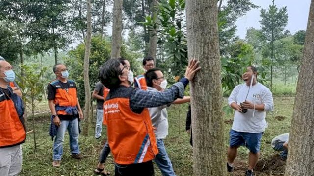 istimewa
