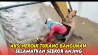 VIDEO: Aksi Heroik Tukang Bangunan Selamatkan Seekor Anjing yang Terseret Arus