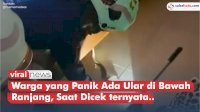 VIDEO: Petugas Tolong Warga yang Panik Ada Ular di Bawah Ranjang, Saat Dicek ternyata Ular Mainan