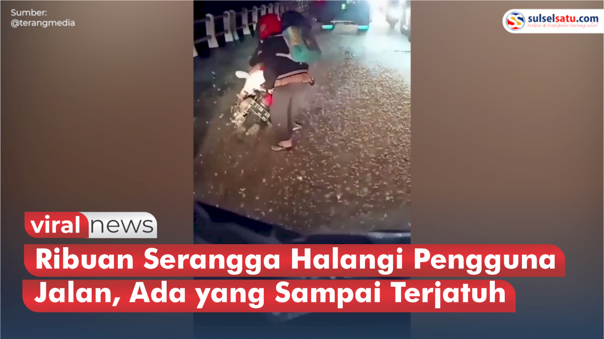 VIDEO: Viral! Ribuan Serangga Halangi Pengguna Jalan, Ada yang Sampai Terjatuh