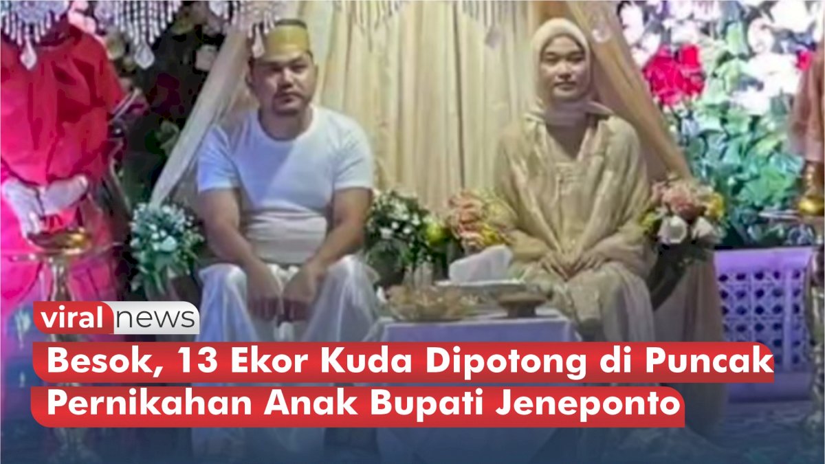 VIDEO: Besok, 13 Ekor Kuda Dipotong di Puncak Pernikahan Anak Bupati Jeneponto
