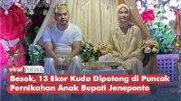 VIDEO: Besok, 13 Ekor Kuda Dipotong di Puncak Pernikahan Anak Bupati Jeneponto