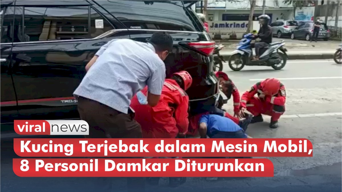 VIDEO: Kucing Terjebak dalam Mesin Mobil di Makassar, 8 Personil Damkar Diturunkan