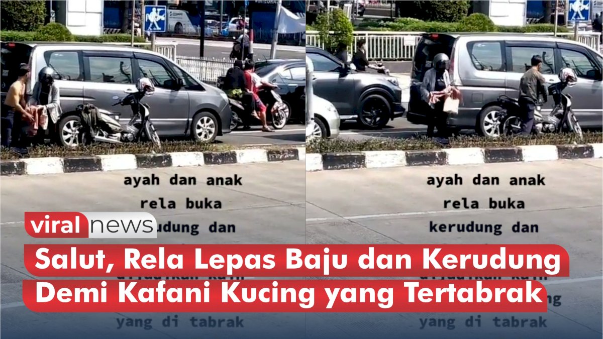 VIDEO: Salut, Rela Lepas Baju dan Kerudung Demi Kafani Kucing yang Tertabrak