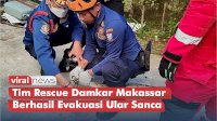 VIDEO: Tim Rescue Damkar Makassar Berhasil Evakuasi Ular Sanca Sepanjang Dua Meter