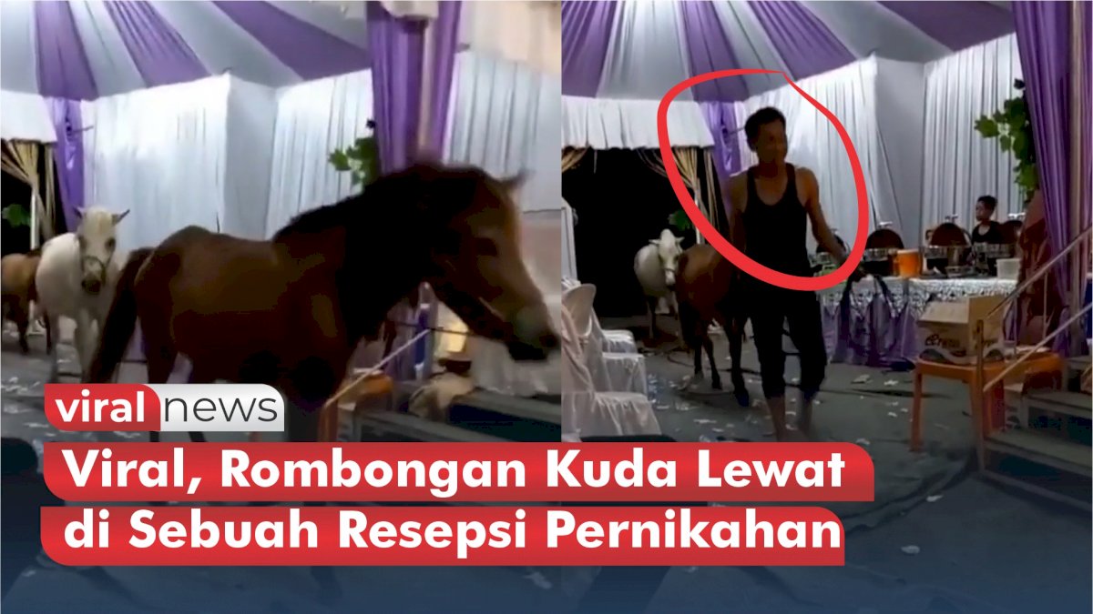 VIDEO: Viral, Rombongan Kuda Lewat di Sebuah Resepsi Pernikahan