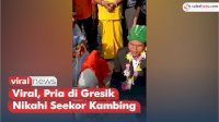VIDEO: Viral, Pria di Gresik Nikahi Seekor Kambing
