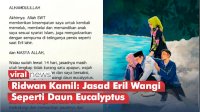 VIDEO: Jasad Eril Ditemukan Wangi dan Utuh, Ridwan Kamil: Jasad Eril Wangi Seperti Daun Eucalyptus