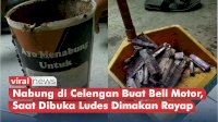 VIDEO: Nabung di Celengan Buat Beli Motor, Saat Dibuka Ludes Dimakan Rayap
