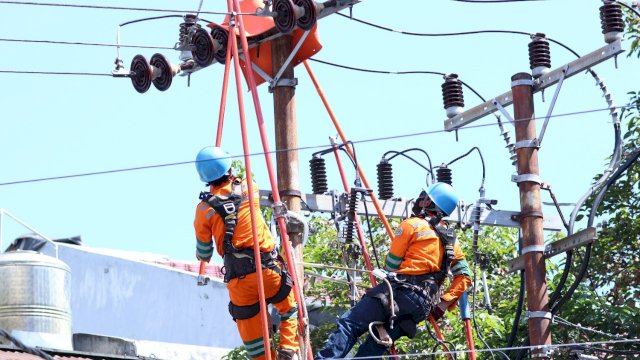 Pemeliharaan jaringan oleh PLN tanpa padam (dok. PLN)