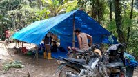 Lihat Keseharian Tim Kemanusiaan NasDem Sulsel, Beratap Tenda di Jalur Rampi