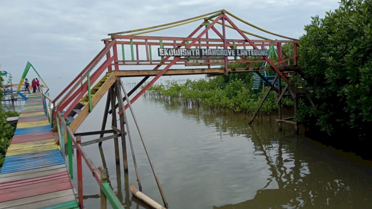 Hutan Mangrove Lantebung Jadi Unggulan Lorong Wisata di Tamalanrea