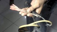 Satu Warga Jeneponto Korban Pembusuran Orang Tak Dikenal