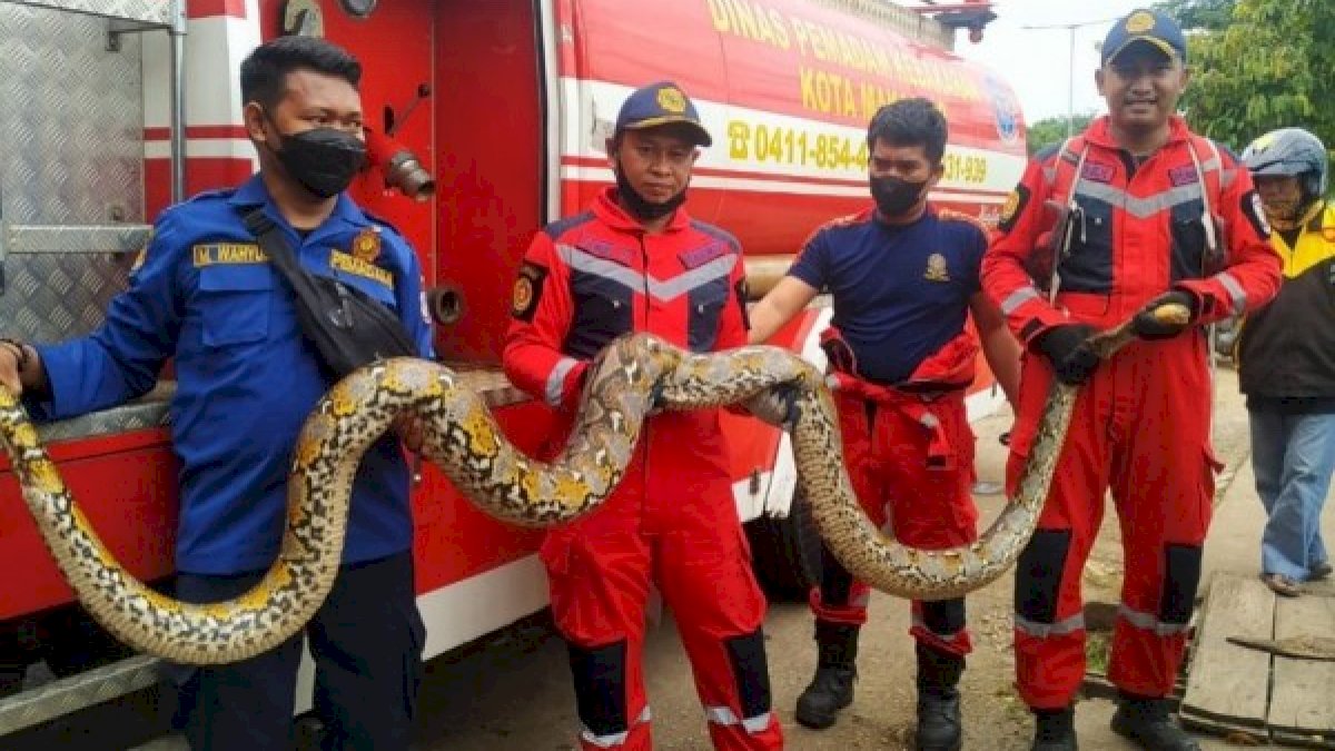 Cepat dan Sigap, Kunci Damkar Makassar Layani Masyarakat