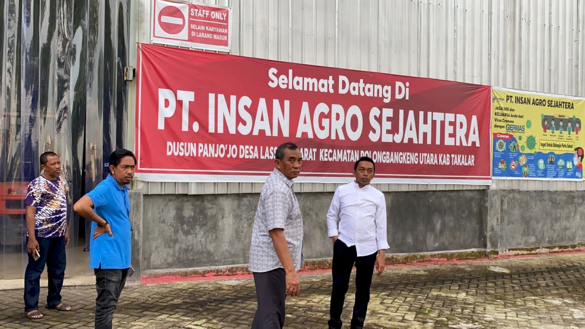 Ekspor Porang Dibuka, Syaharuddin Alrif Harap Petani Tingkatkan Produksi