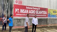 Ekspor Porang Dibuka, Syaharuddin Alrif Harap Petani Tingkatkan Produksi