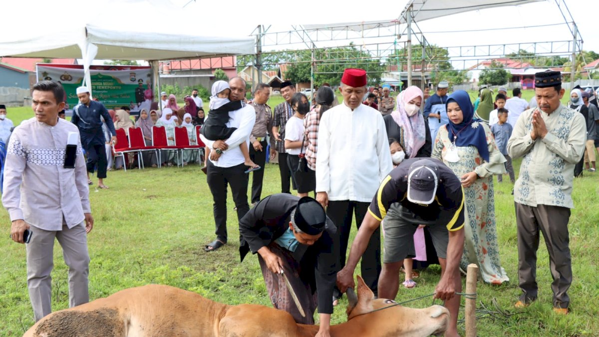 Hasil Patungan, Jajaran Polres Jeneponto Kurban 46 Ekor Sapi