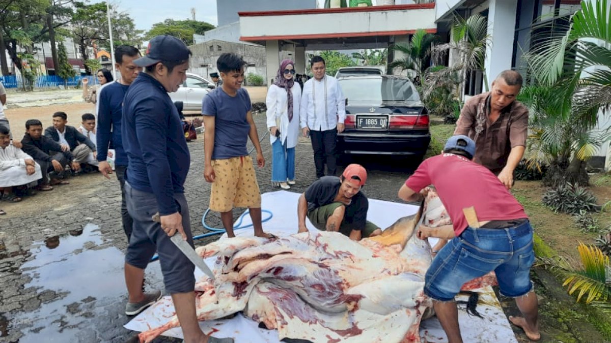 Yasir Machmud Kurban 6 Ekor Sapi Untuk Warga, Keluarga, dan Karyawan PT SCI