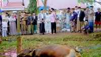 Usai Shalat Idul Adha, Bupati Barru Saksikan Pemotongan Hewan Kurban