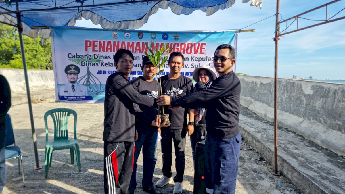 DKP Sulsel Tanam 10 Ribu Bibit di Borimasunggu Pangkep