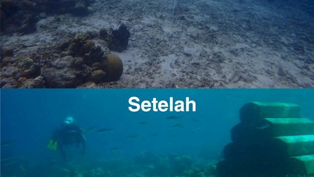 istimewa