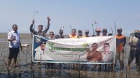 DKP Sulsel Tanam 38 Ribu Batang Mangrove di Lutim